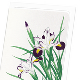 Irises (Pack of 8 cards)