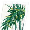 Bamboo (Pack of 8 cards)