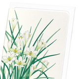 Zephyr lily (Pack of 8 cards)