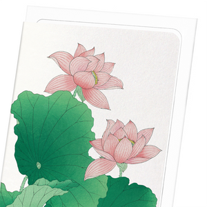 Pink lotus (Pack of 8 cards)