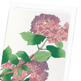 Hydrangea (Pack of 8 cards)