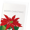 Christmas (poinsettia) (Pack of 8 cards)