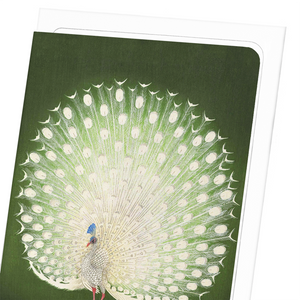 White peacock (Pack of 8 cards)