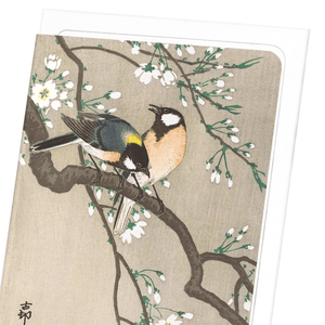 Tit birds on cherry branch (Pack of 8 cards)