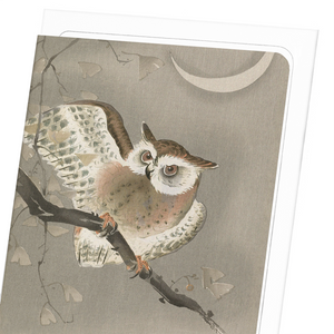 Long-eared owl (Pack of 8 cards)