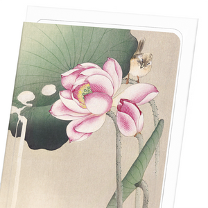 Songbird and lotus (Pack of 8 cards)