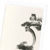 Owl on pine tree (Pack of 8 cards)