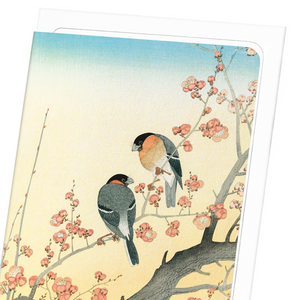 Bullfinches on flowering plum tree (Pack of 8 cards)