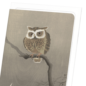 Long-eared owl on tree branch (Pack of 8 cards)