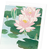 Flowering lotus (Pack of 8 cards)