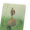 Sparrow and scarecrow (Pack of 8 cards)