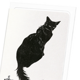 Cat No.12 (Pack of 8 cards)