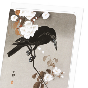 Crow with cherry blossom (Pack of 8 cards)