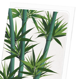 Bamboo No.2 (Pack of 8 cards)