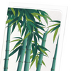 Bamboo No.3 (Pack of 8 cards)