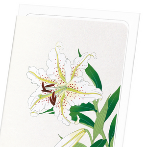 Lily (Pack of 8 cards)