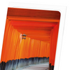 Fushimi inari shrine  (Pack of 8 cards)