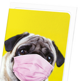 Pug mask (Pack of 8 cards)