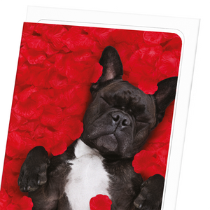 Frenchie dream (Pack of 8 cards)