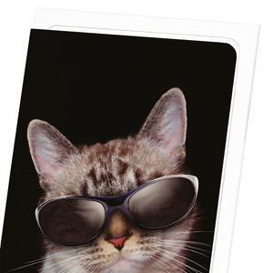 Cool cat (Pack of 8 cards)