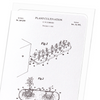 Patent of plant cultivation (1971) (Pack of 8 cards)