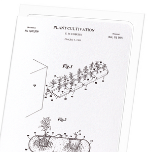 Patent of plant cultivation (1971) (Pack of 8 cards)