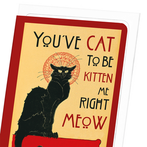 Cat to be kitten me (Pack of 8 cards)