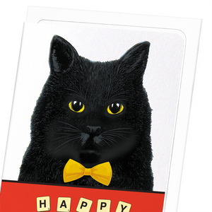 Birthday scrabble cat (Pack of 8 cards)