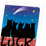 Lucky black cats