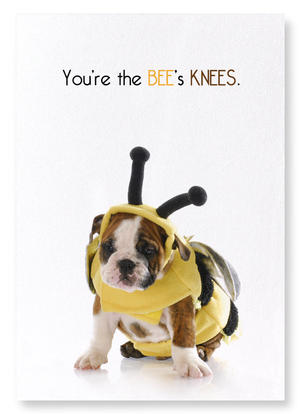 The bee's knees (Pack of 2 prints)