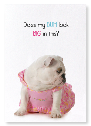 Big bum (Pack of 2 prints)