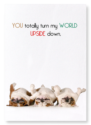 Upside down (Pack of 2 prints)