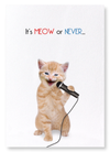 It's meow or never (Pack of 2 prints)