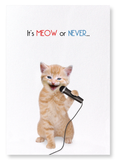 It's meow or never (Pack of 2 prints)