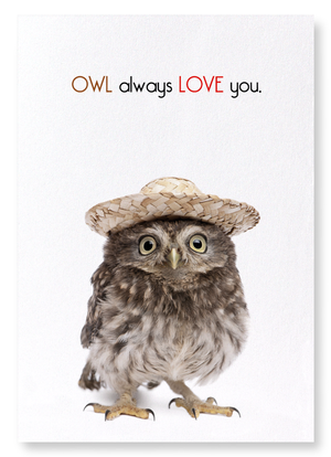 Owl always love you (Pack of 2 prints)