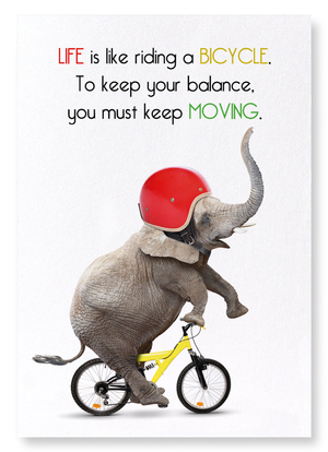 Elephant and bicycle (Pack of 2 prints)