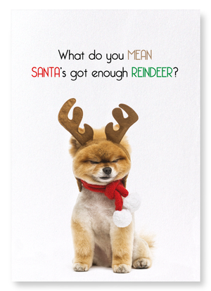 Enough reindeer  (Pack of 2 prints)