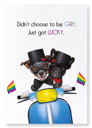 Lucky and gay (Pack of 2 prints)