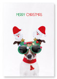 Merry christmas festive dog (Pack of 2 prints)