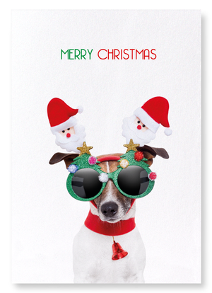 Merry christmas festive dog (Pack of 2 prints)