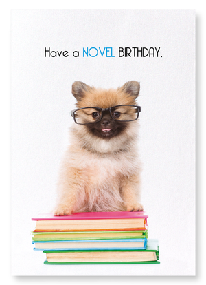 Novel birthday (Pack of 2 prints)