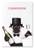 Congratulations from mr pug (Pack of 2 prints)