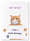 Birthday corona cat (Pack of 2 prints)