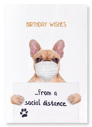 Birthday frenchie from a distance (Pack of 2 prints)