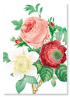 Clematis & pink rose (Pack of 2 prints)