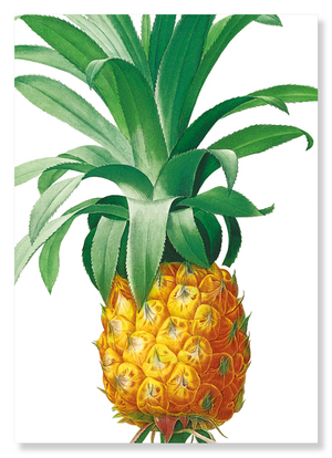 Pineapple (Pack of 2 prints)