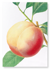 Peach No.1 (Pack of 2 prints)