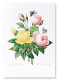 Yellow and pink rose (Pack of 2 prints)