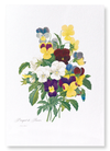 Bunch of pansies (Pack of 2 prints)