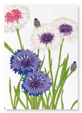 Cornflower (Pack of 2 art prints)